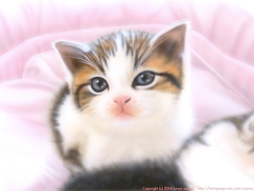 純夜 6 7 30干支展 マンチカン がなぜかトレンドに 便乗にゃーー