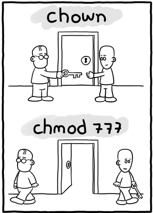 My feeling about 2021. It is wide open  for anything to happen #Linux #cli
