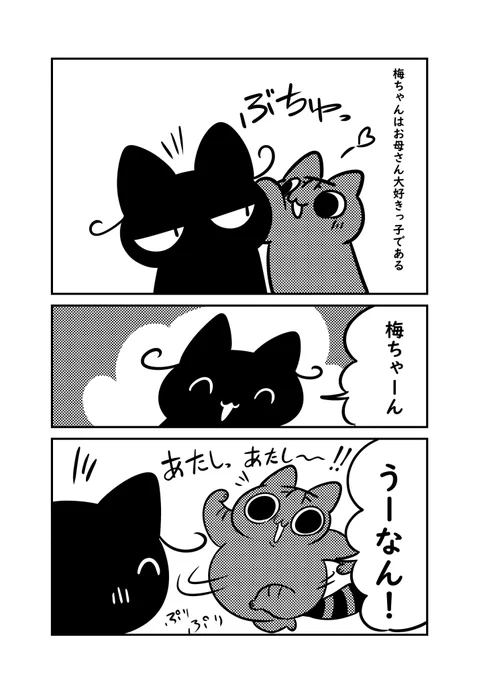 実家の猫梅はお母さんが呼ぶのは全部自分の事と思ってる節がある  #ぬら次郎日記 #猫パン日記 