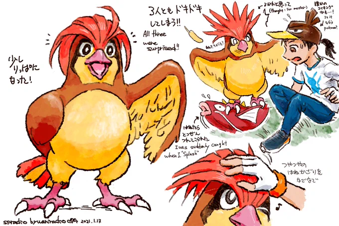 #ポケモンと生活 
#PokemonGO 
#ピジョン
#Pokemon
#Pidgeotto

1日に1匹のポケモンを描くチャレンジ?
17日目はりっぱな羽飾りのピジョン! ? 