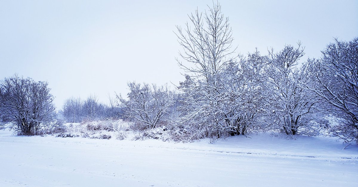 Santhosh_CHRiS's tweet image. Snow place like home! 😃 
#snow #Snowing #Blizzard #Ottawa #OttawaSnowFolks #abstorm #snowy #WINTER