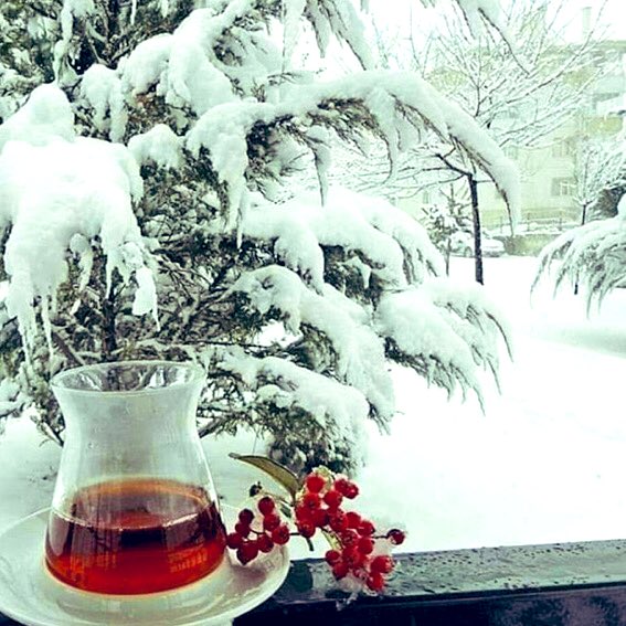 JaleAknc2's tweet photo. .
...
Velhasıl #Kelam:

       Çay,  #demini;

            İnsan,  #edebini

               KAYBETMEMELİ!....🙏☕️❄️

#Muhabbetle, #neşeyle🙋‍♀️🎶🦋

#İyihaftalar🥰❄️☃️

 GÜNAYDINNNNNNN🌻☕️🌻 https://t.co/X2b9DuxqLM