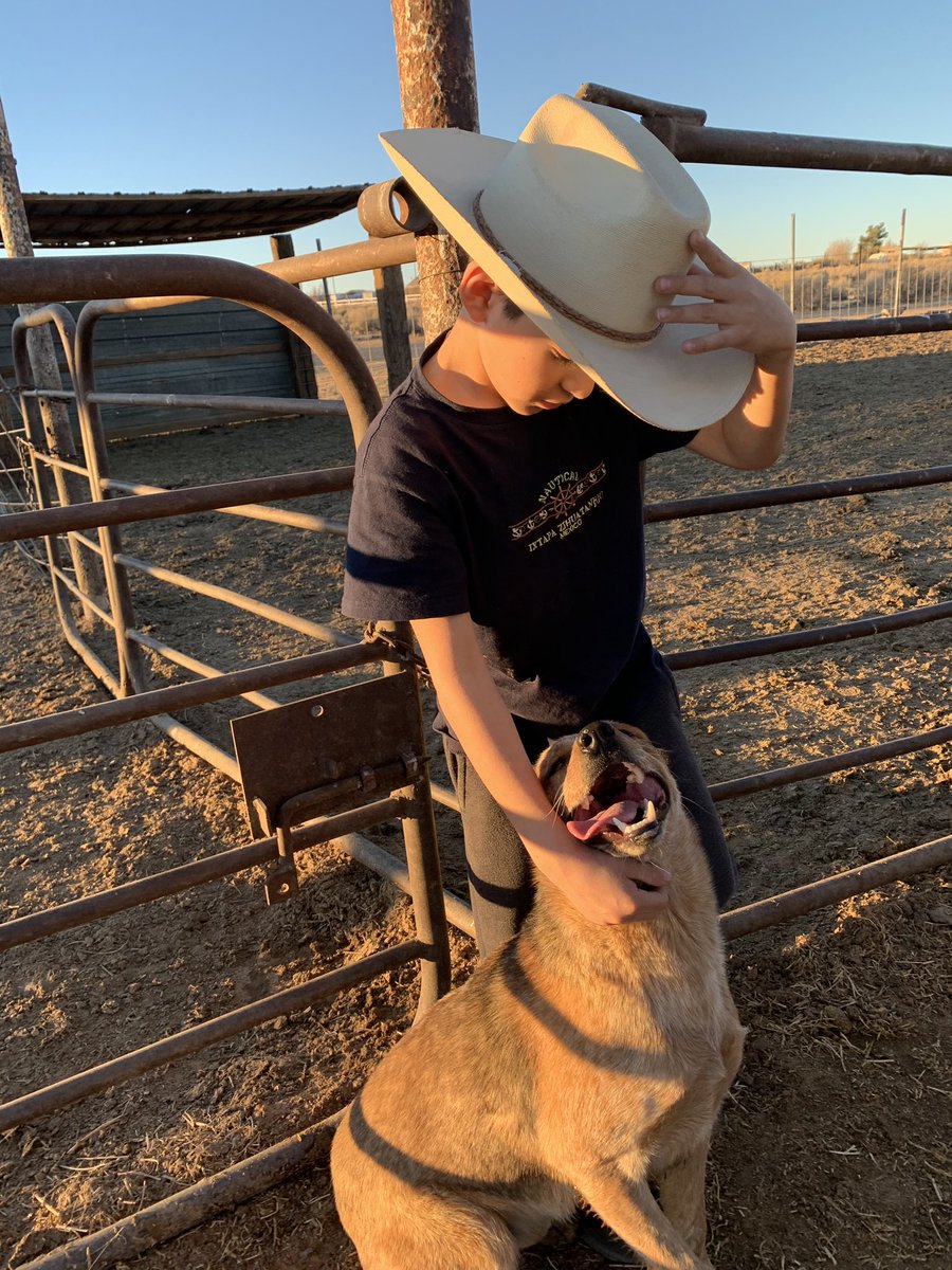zzhyigds's tweet photo. COWGIRLZ WANTED https://t.co/NAdO6oYwBk