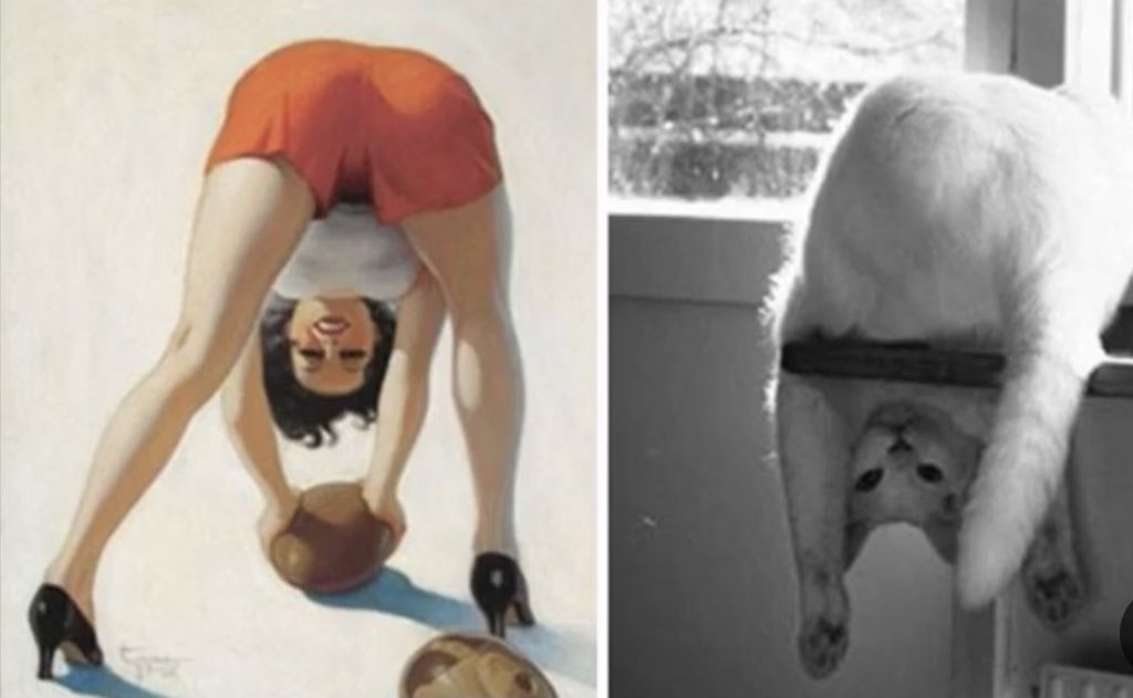 Thread: Cats posing like Pinup Girls @she_jedi  @Deedz_A  @Hawksnicky