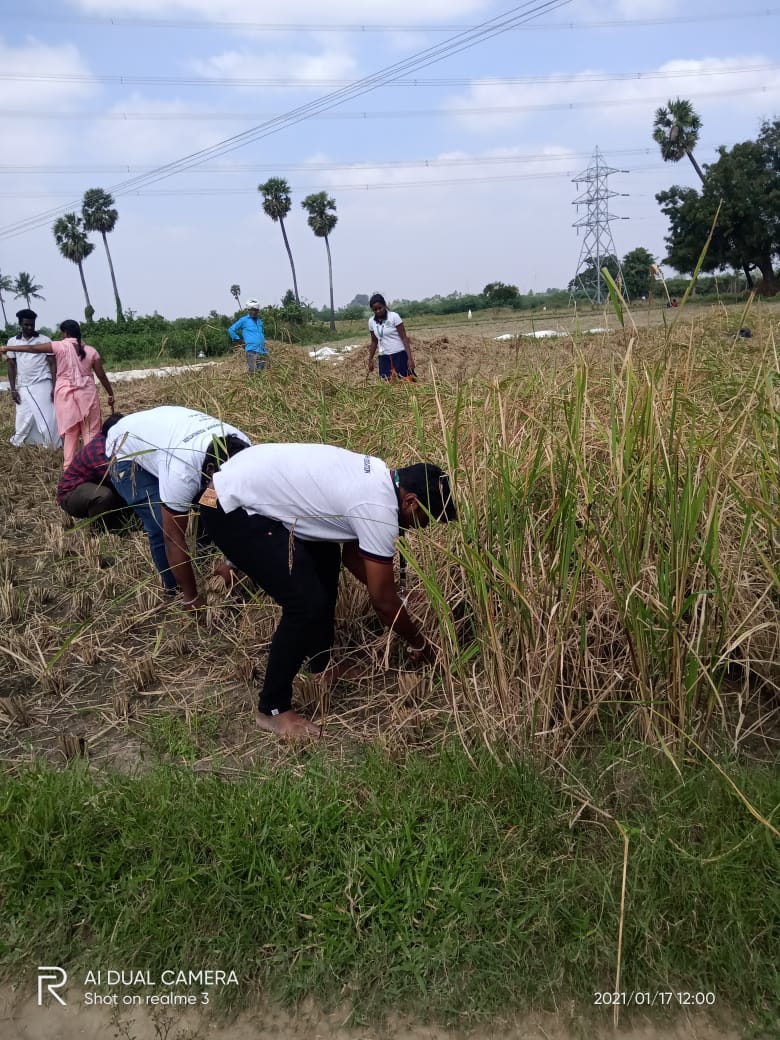 Varrnam2015's tweet photo. உறவுகளுக்கு வணக்கம்..!

நெல் மணியும் கருதரிவாளும் பக்குவப்பட்ட மண்ணும் போரடிக்கும் தடமும் புன்னகைக்கும் இயற்கையும்
வியர்வை கொண்ட உழவனும் இன்றியமையாது இவ்வுலகம்.

      அறுவடை செய்து போரடித்து எம் உழவனின் உழைப்பை உணர்ந்த பெருமையுடன் வர்ணம் அறக்கட்டளை இப்பதிவை பகிர்கிறது...! https://t.co/xsIQImhZKB