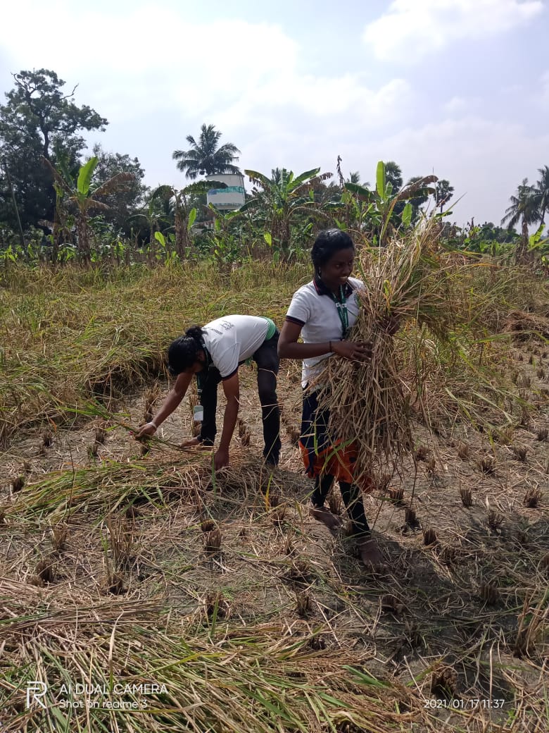 Varrnam2015's tweet photo. உறவுகளுக்கு வணக்கம்..!

நெல் மணியும் கருதரிவாளும் பக்குவப்பட்ட மண்ணும் போரடிக்கும் தடமும் புன்னகைக்கும் இயற்கையும்
வியர்வை கொண்ட உழவனும் இன்றியமையாது இவ்வுலகம்.

      அறுவடை செய்து போரடித்து எம் உழவனின் உழைப்பை உணர்ந்த பெருமையுடன் வர்ணம் அறக்கட்டளை இப்பதிவை பகிர்கிறது...! https://t.co/xsIQImhZKB