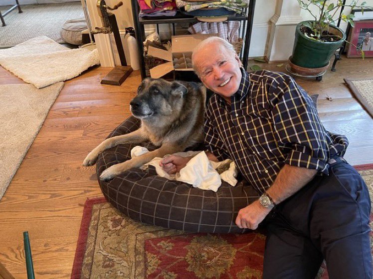 Doesn’t this room make you feel like things just might be ok? #ChampBiden needs to hurry and pack. We can’t wait. 10/10 #Major <a href="/JoeBiden/">Joe Biden</a> <a href="/DrBiden/">Dr. Jill Biden</a> #FutureFirstCat