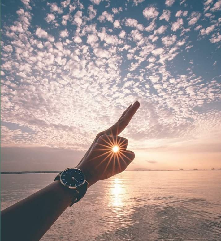 karan786in's tweet photo. #perfect_shot 
#goodmorning https://t.co/ECqgIFAzGz