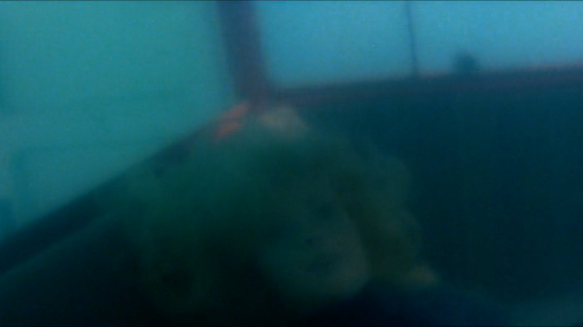 LONG WEEKEND (Eggleston, 1978)