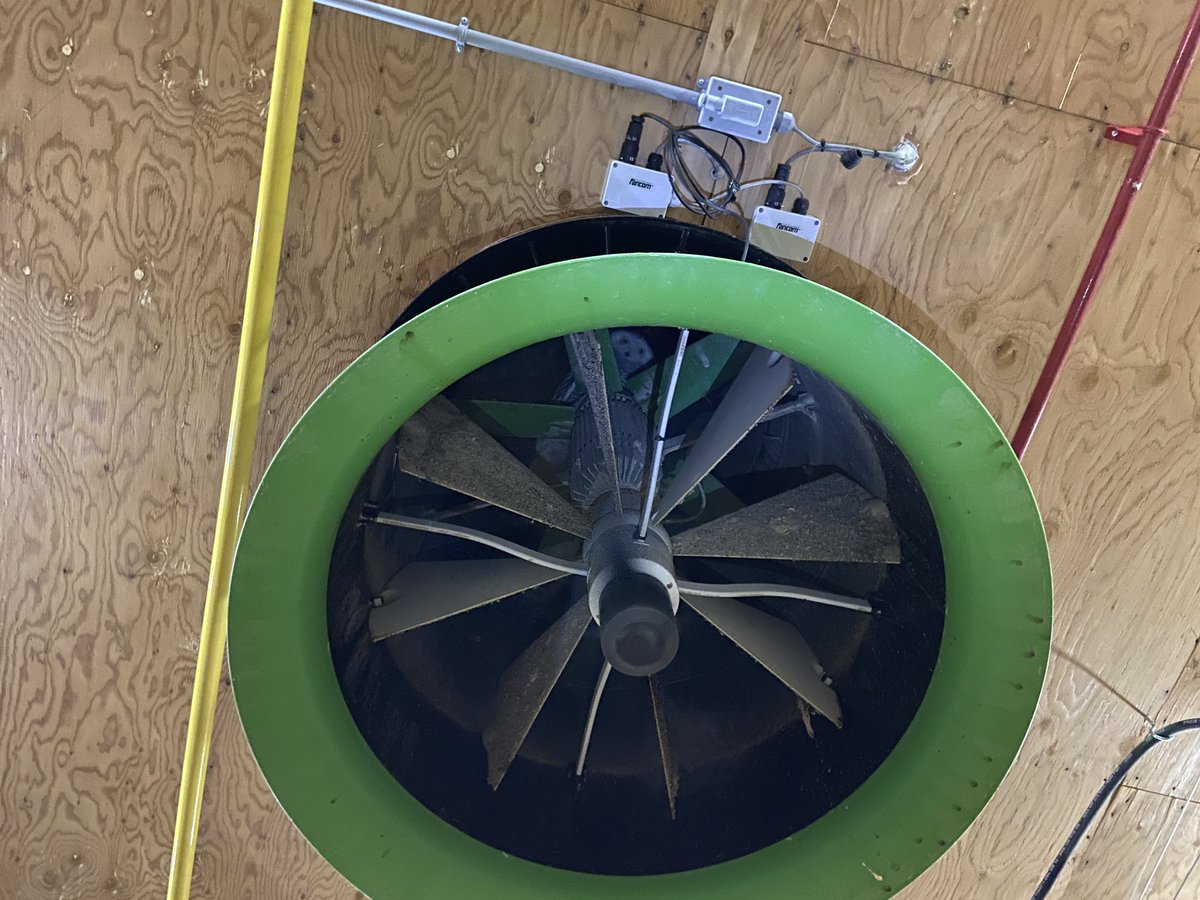 pverkley's tweet image. Was not expecting this when I got to the barn this evening to spread out the straw...