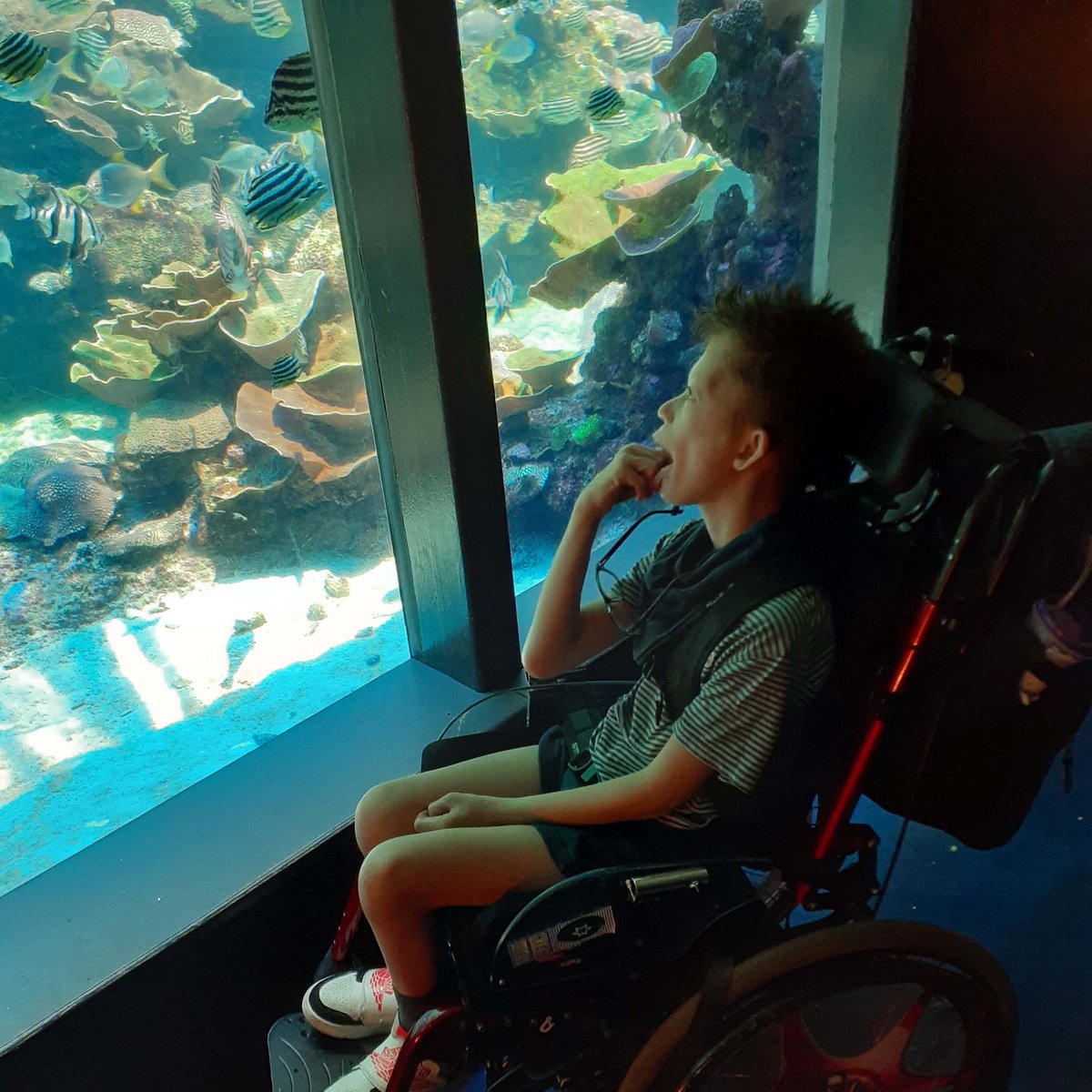 What a view! 🐟🐠