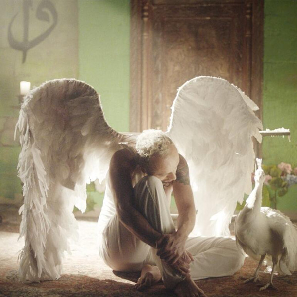 h. anna barlett tweet media