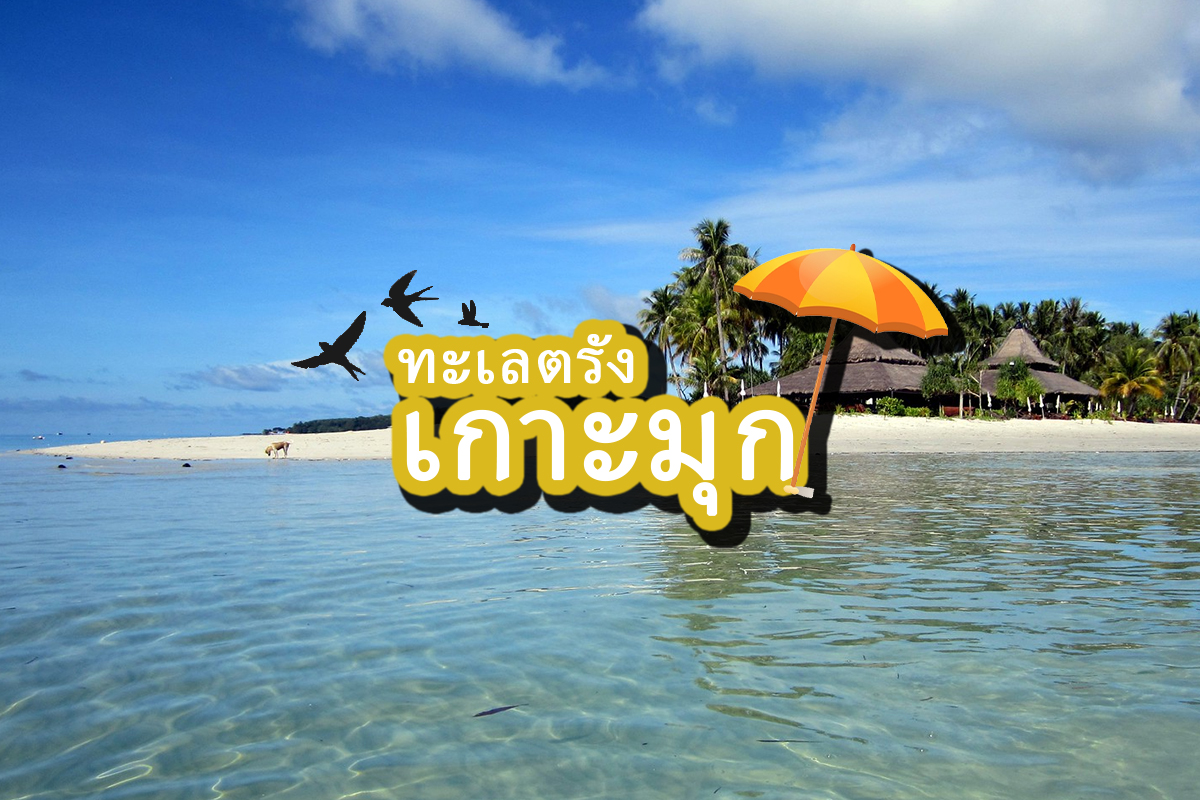 am_holiday's tweet photo. Ko Muk Island
Location: Trang, Thailand

The island Koh Muk is still an insiders’ tip and a true dream destination. It’s very quiet, has fascinating beaches and is perfect for island hopping to the surrounding islands such as Koh Kradan or Koh Ngai.

Photo https://t.co/kKX7yaOkrQ https://t.co/noPKLaU1PF