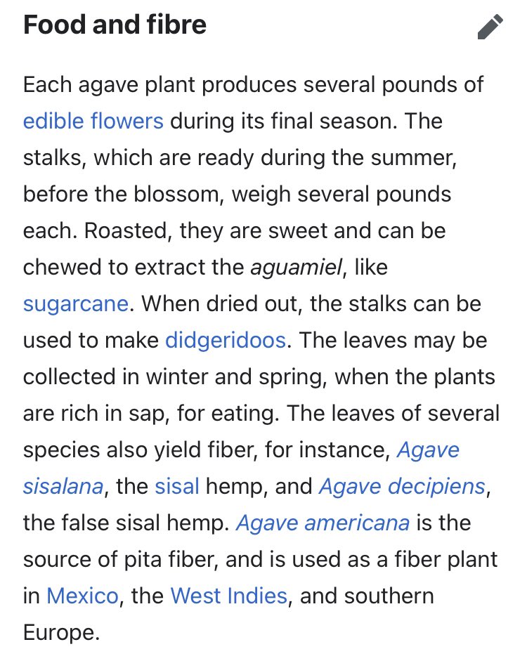 Sinagua people used agave plants extensively. The could be eaten several ways, harvested for fiber for threads in clothes, converted into baskets, or made into rope.