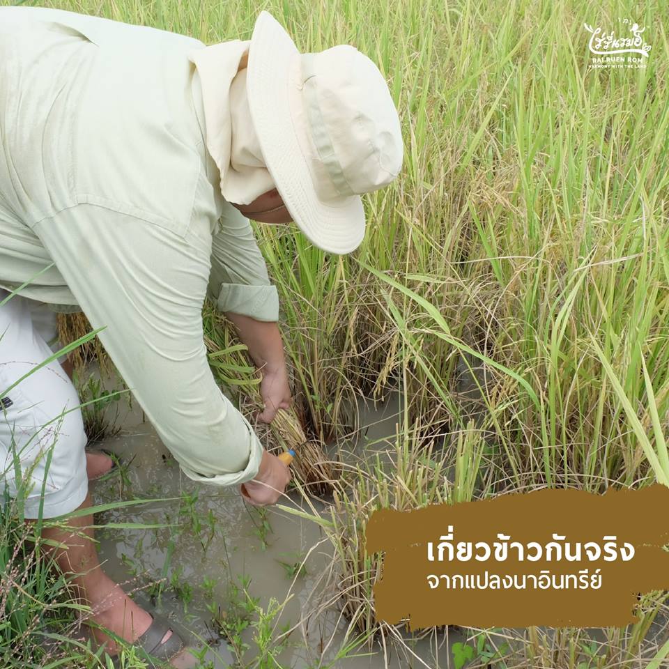 am_holiday's tweet photo. "ไร่รื่นรมย์ เป็นไร่ปลูกพืชผักแบบเกษตรอินทรีย์ และเปิดเป็นแหล่งการเรียนรู้สำหรับผู้ที่สนใจในเรื่องของการเกษตร รวมไปถึงยังมีที่พักแบบฟาร์มสเตย์ให้สำหรับนักท่องเที่ยวที่มาทำกิจกรรมที่ไร่อีกด้วย 
 
ภาพจาก : https://t.co/2GGn1Gh3FA
#AMHolidayTravel https://t.co/SD3P7dFlQS