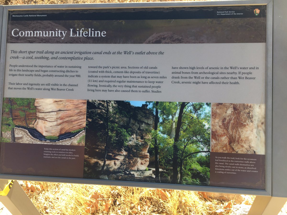 Sinagua community around Montezuma Well dug irrigation canals from the spring to water their fields as far as 7 miles, & coated the canals with limestone. Unfortunately the well has high arsenic levels, probably poisoning the community slowly.