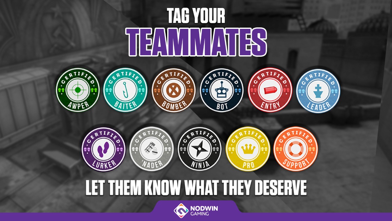 Why the CSGO Support Role is the Unsung Hero of Every Match