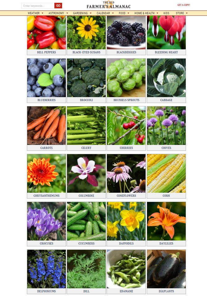 Plant hardiness is a good, easy to investigate example of this. There is an interactive GIS version of this on the USDA's website, but if you're curious about what you can grow without artificial intervention - this is your cheat sheet.Look at all we can grow in central Kenai!