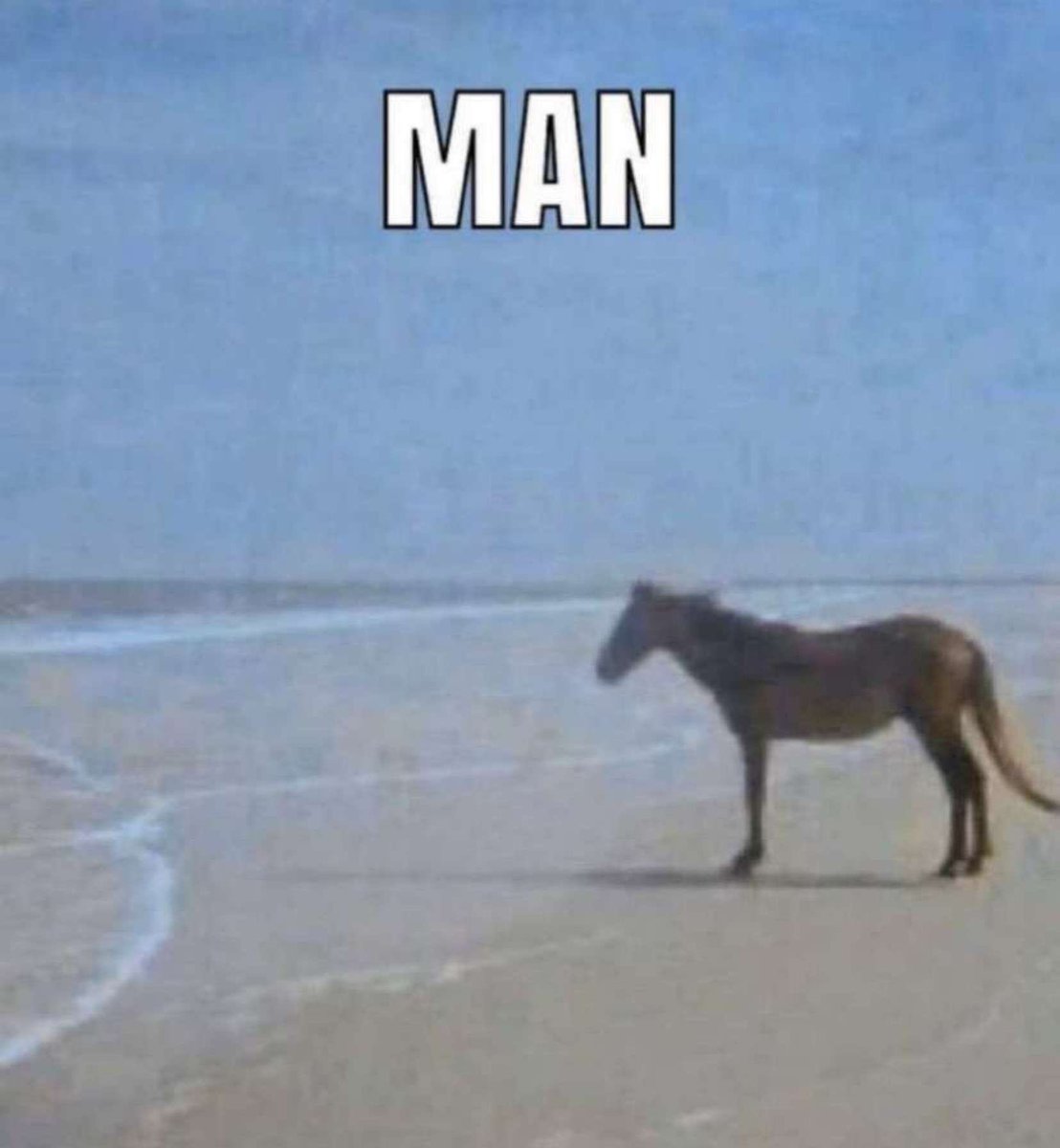 i’ve decided to quit film and pursue realistic art