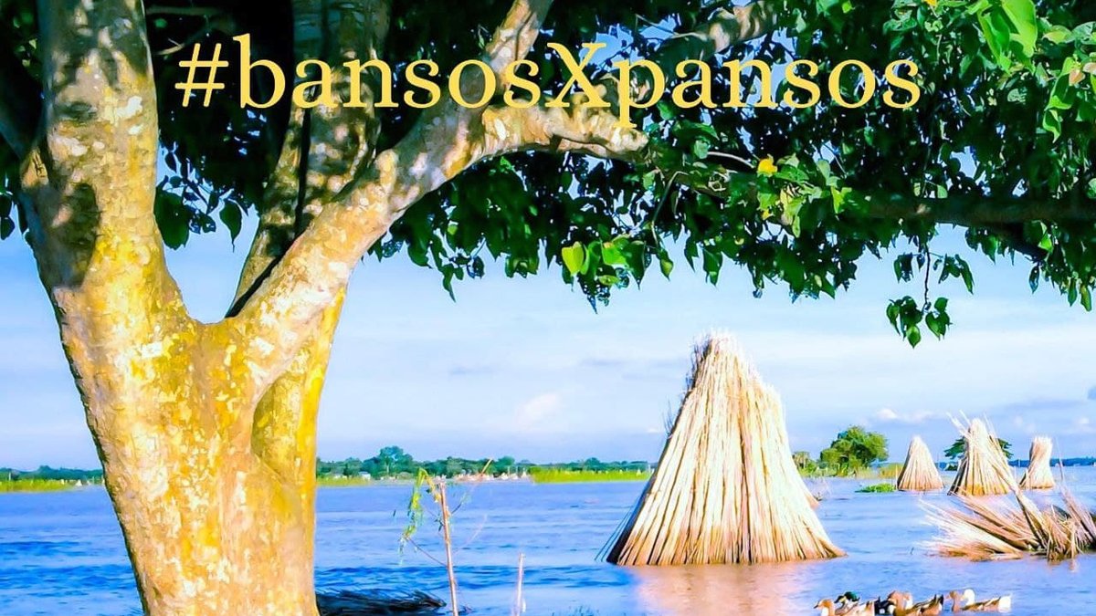 AngiHusna's tweet photo. Sedih banget. lagi dilanda bencana tapi masih ada aja orang yang pansos main hastag #bansosXpansos https://t.co/nt16OcySKZ