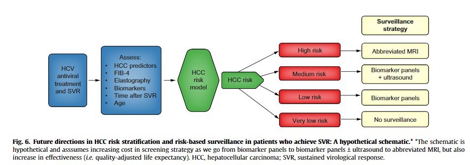 Thanks to  @JHepatology for giving me the opportunity to express some thought on *Precision HCC Screening" in this mini-Review, using screening post-SVR as an example https://reader.elsevier.com/reader/sd/pii/S0168827820337302?token=FD140BB321B0949C6339F6C8D4A285BF7AED8A13240D442D846D7FDDB8EB7B20E2168CC061D3374917EF440188B207411/4