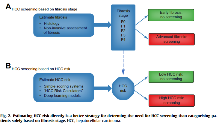Key Concepts are: HCC risk (incidence) is the most important determinant of cost-effectiveness of screening Screening based on HCC risk is a superior strategy than screening based on presence absence of F3/F4 fibrosis2/4