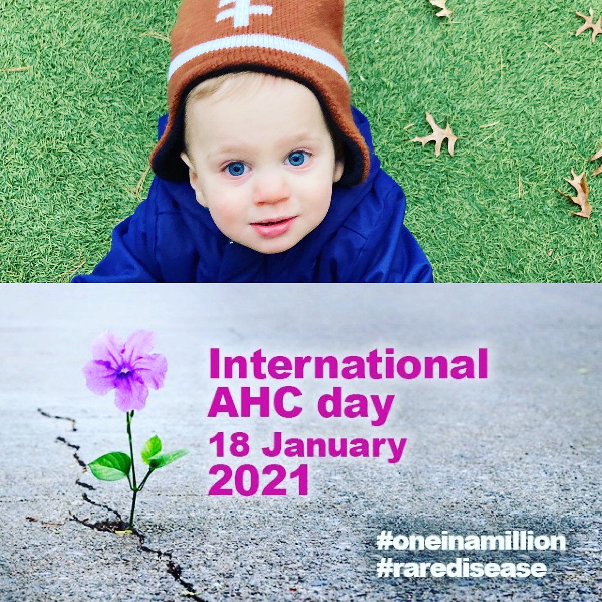 Connorschances's tweet photo. Donate and spread awareness at https://t.co/8n2dib5JLS 💚💚 https://t.co/OqkzoxUfe4