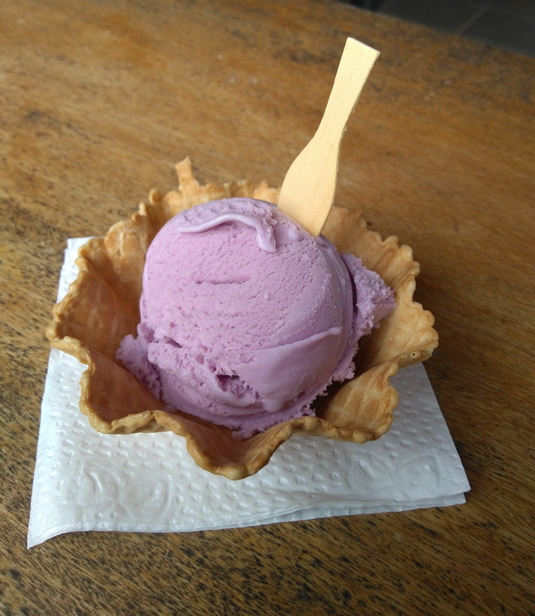 lavender flavored ice cream direct from Lavandario in Cunha