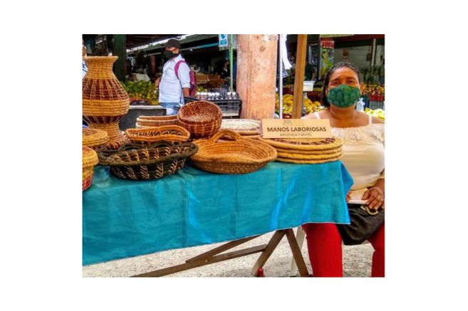 EEColombia2020's tweet photo. Tejedoras de Urabá luchan por ser reparadas. Un colectivo de 10 mujeres de Antioquia y Córdoba creó la empresa comunitaria ’Manos Laboriosas’ para vender productos de moda a base de plátano. 

��️https://t.co/89M9MBwHjP https://t.co/yHoDRJXO0H