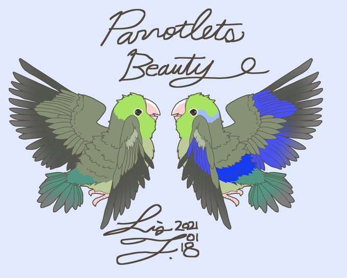 美しい鳥のtwitterイラスト検索結果 古い順