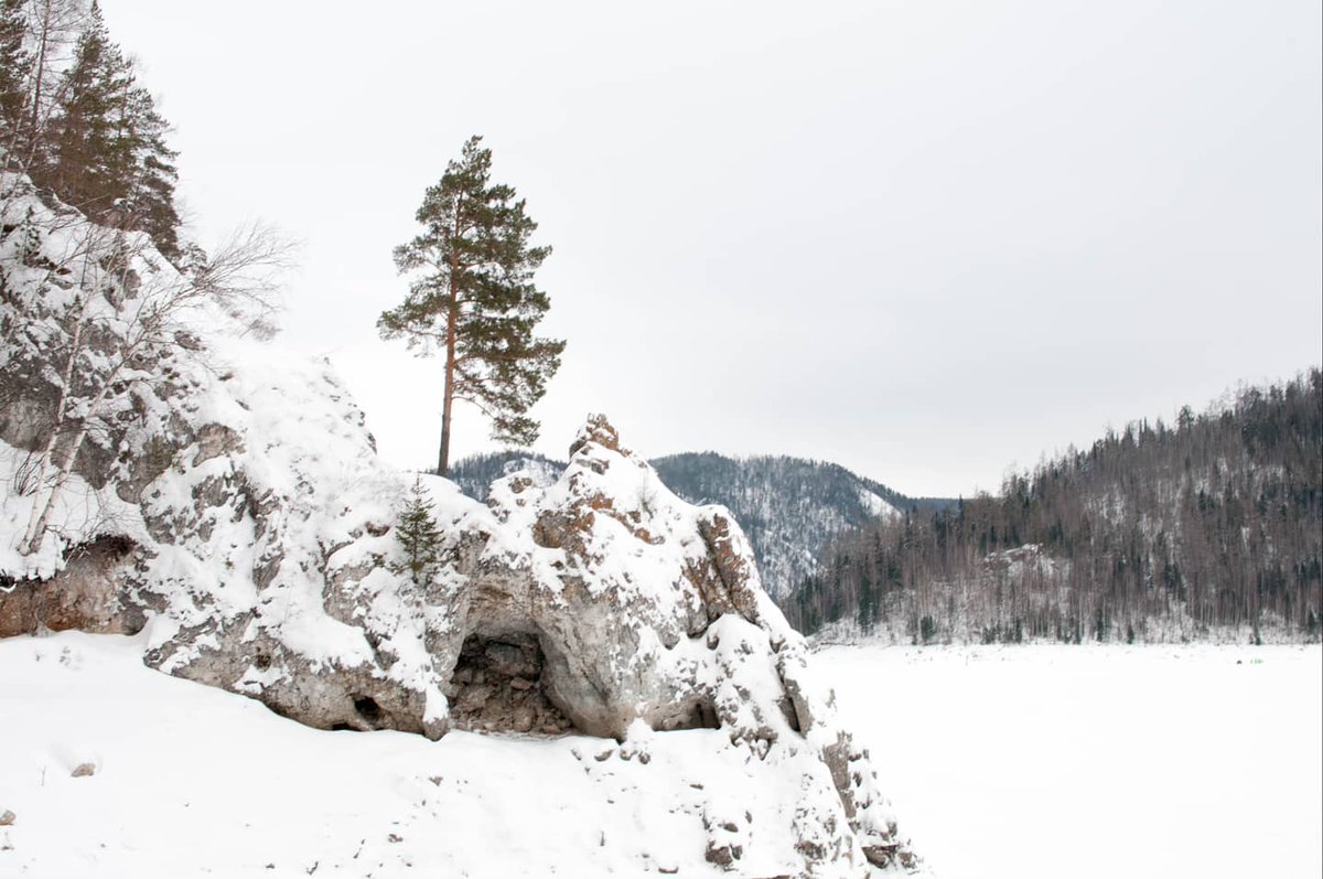 vova_ru's tweet photo. #КрасноярскийКрай Прогулка на Бирюсу, 17.01.2021. Длина реки (с заливом Бирюса) — 58 км. Площадь водосборного бассейна — 900 км². #Бирюса #ЕнисейскаяСибирь #Енисей https://t.co/EjCAff2eKL