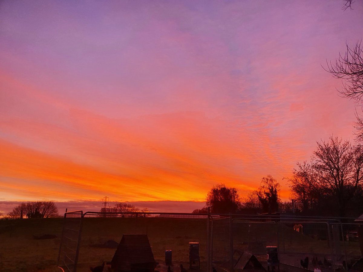 ianthemoleman1's tweet image. Time to get out there
#pestcontrol #vermincontrol #molecatcher #sunrise