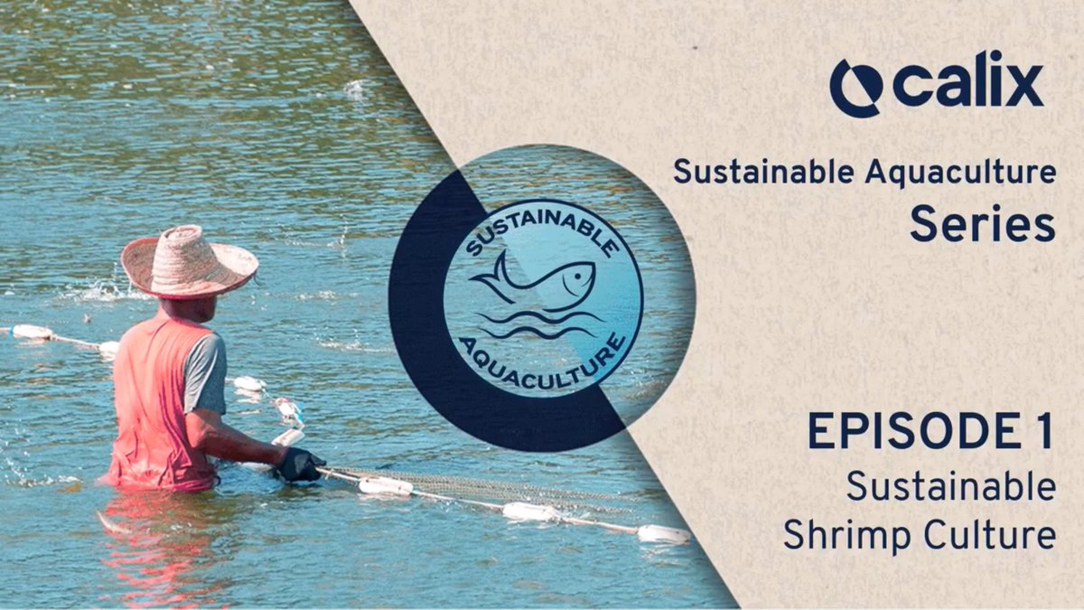 LifeSciencePro's tweet photo. While the world is finally waking up to climate change and food shortages, improving the sustainability of aquaculture has become a crucial global challenge.

https://t.co/VnpL57MG5v

@Calixlimited @AquacultureMag @WrldAquaculture @GAA_Advocate @AquacultureAsia @aquaculturehub https://t.co/r7MYeSr2tx