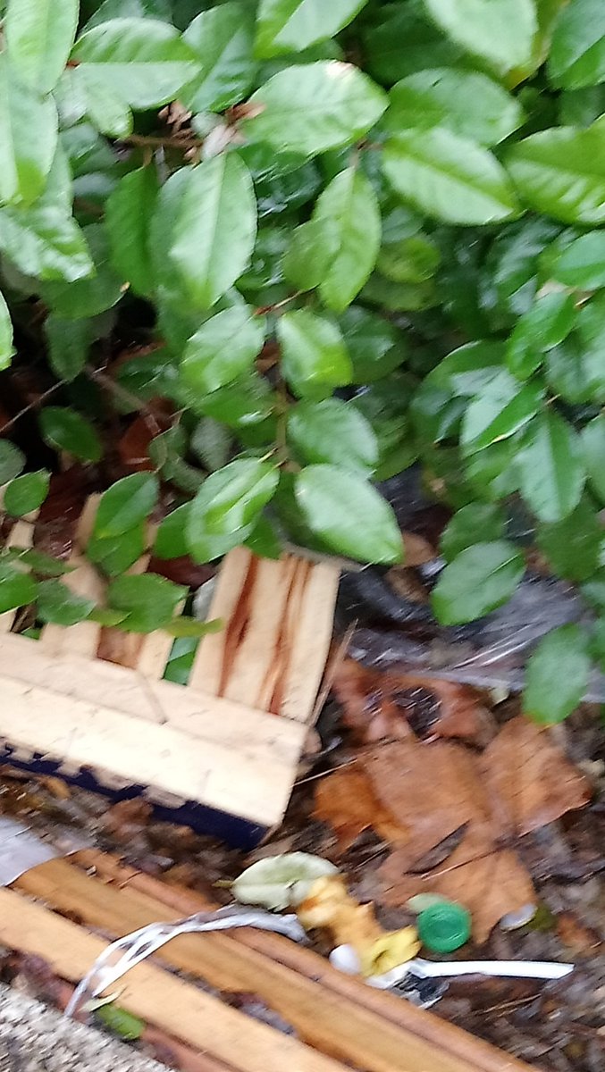 Colin Fitzpatrick tweet media