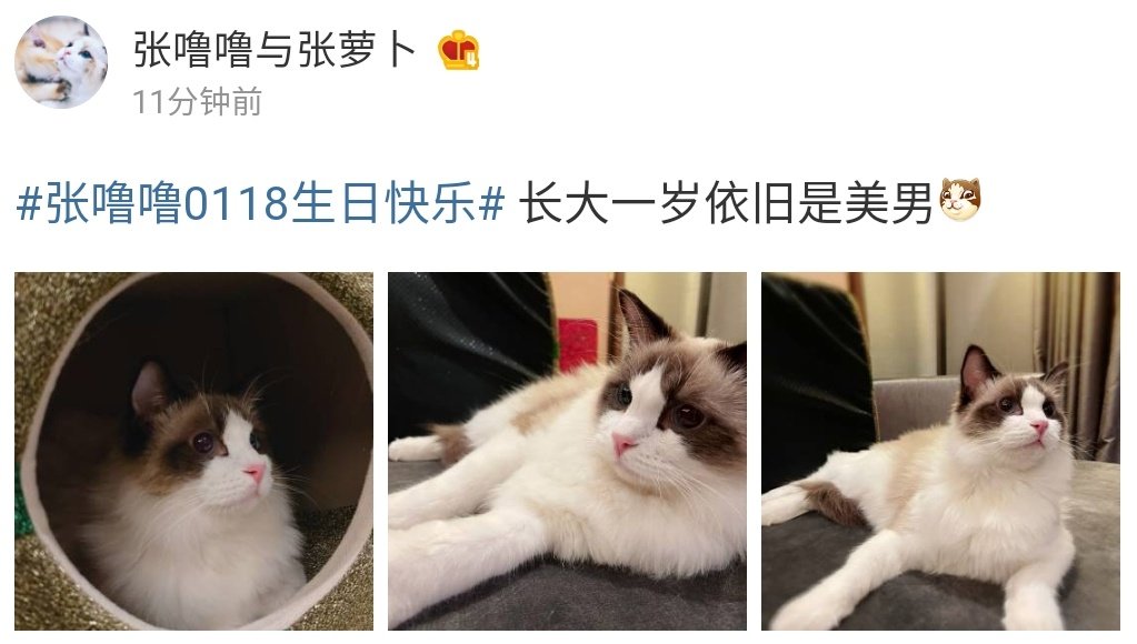 XingPark's tweet photo. 210118 Zhang Lulu &amp; Zhang Luobo Weibo update：“#ZhangLulu0118HappyBirthday# One year older and still a handsome man 😼”

#LayZhang #ZhangYixing #Lay #Yixing #张艺兴 #레이 #レイ #장이씽  @layzhang @lay_studio https://t.co/lqFMY8oixR