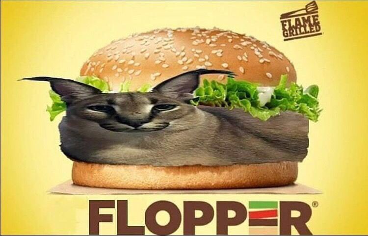 FloppaTragic's tweet photo. F https://t.co/CZtWx8OIKW