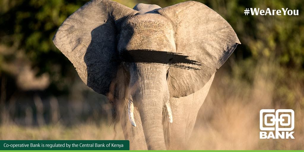 Coopbankenya tweet picture