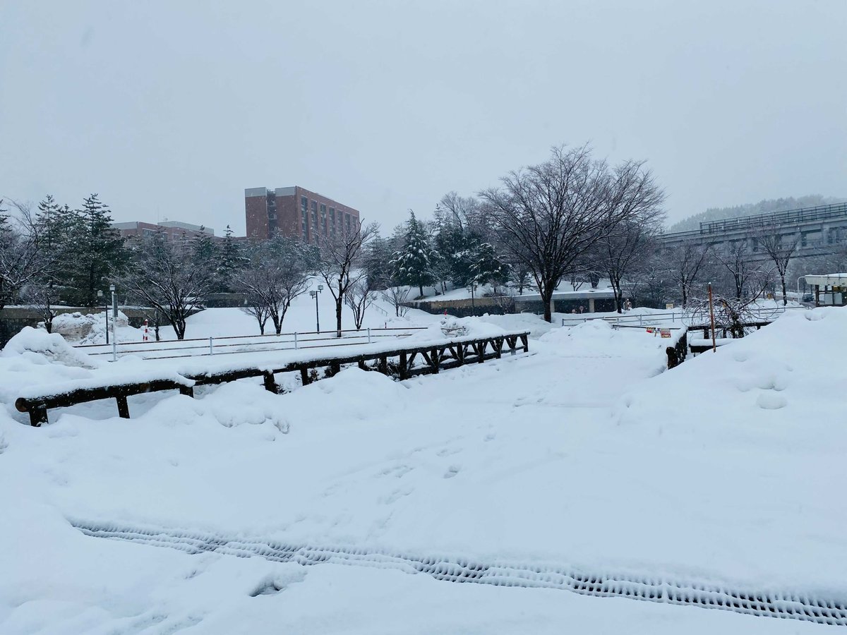 金沢大学 今日も角間は雪に覆われています 金沢大学 角間キャンパス 角間 雪景色 イマソラ Whiteworld