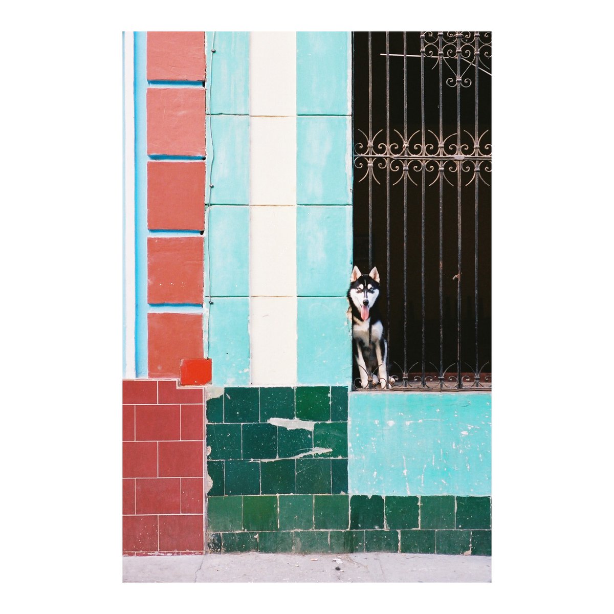 Greensquarecafe This Photo Was Taken In Havana Cuba Houses In Havana Are Very Colourful In This House There Was A Dog Sitting In The Window Just Staring 見つめて At Me Greensquarecafe This Photo Was Taken In Havana Cuba Houses In Havana Are Very Colourful In This House There Was A Dog Sitting In The Window Just Staring 見つめて At Me