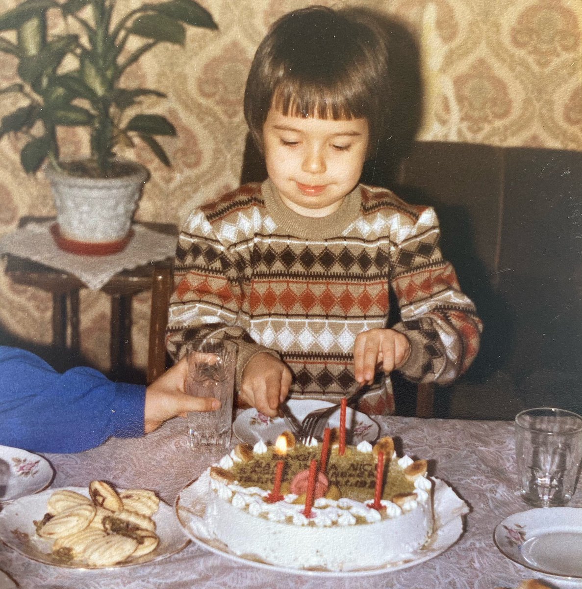 Kaan Sekban tweet media