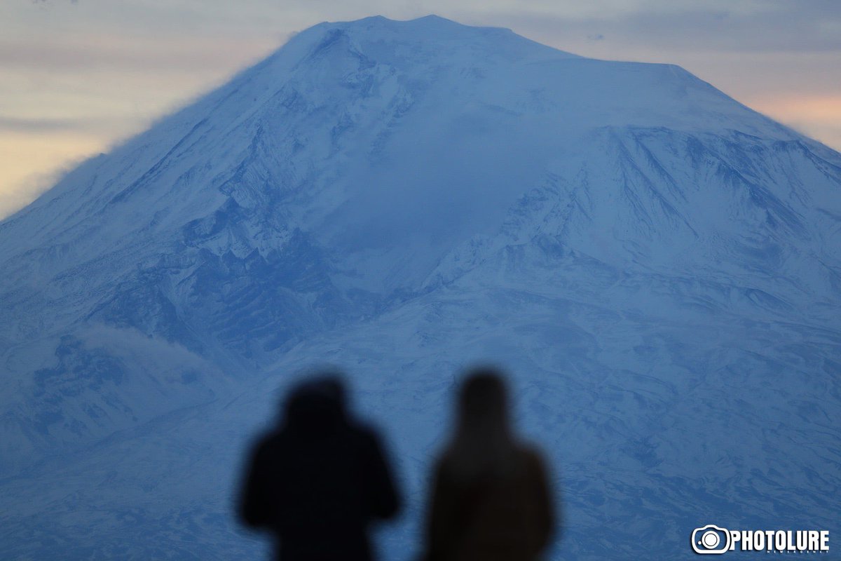 Photolure tweet media