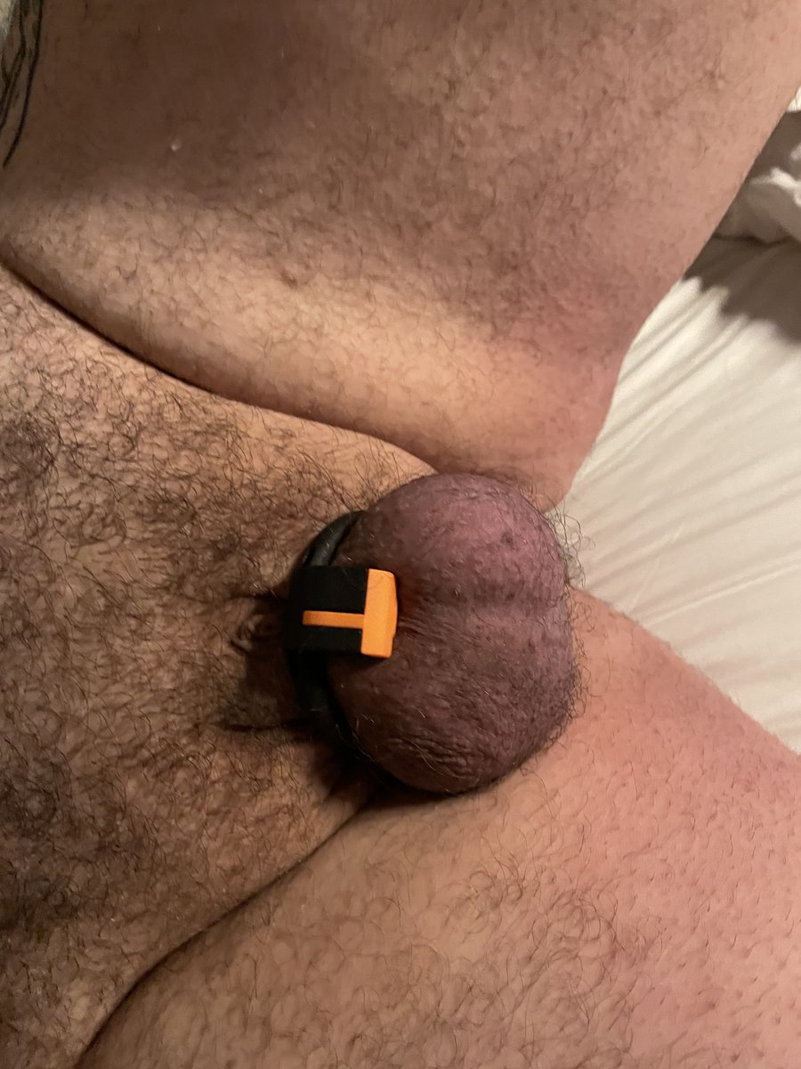 nycinniebear's tweet photo. Ever wonder what it would be like to just kinda not have a dick at all? Welcome to my life. #dickless #cockless #teamlocked #gaychastity #gaybear #microcock #micropenis #gaysph #inniecock #inniedick (DMs open) https://t.co/MxZ2jmVs7D