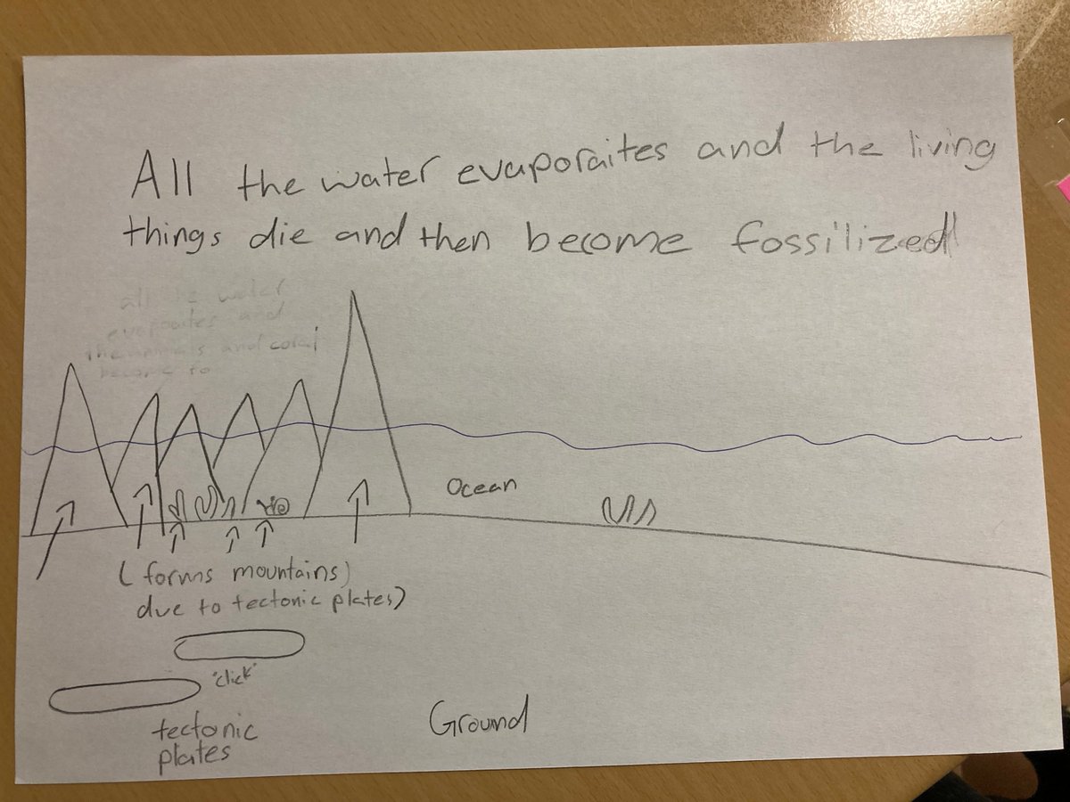 rdavisteaches's tweet photo. Excited to be starting our #UAE #geology unit in #sci6ASD! Students are investigating how marine #fossils ended up in the #HajarMountains in the desert. Based on these explanatory hypotheses, we've got a lot to learn about #platetectonics. #ngss #ngsschat #scitlap https://t.co/SDwK8ZOSmR