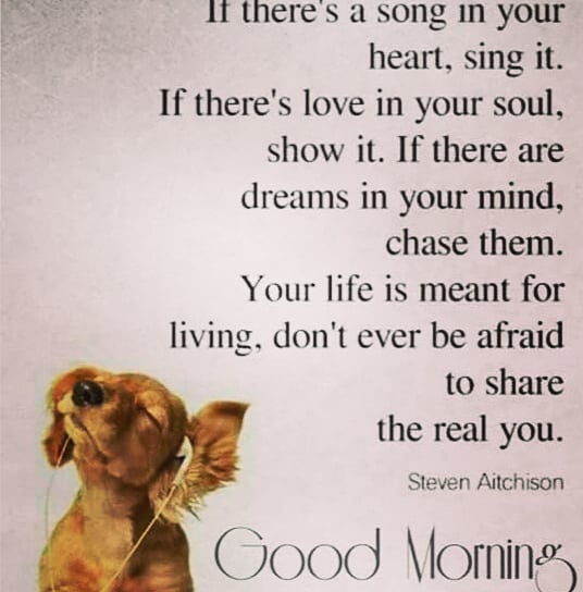 #goodmorning #goodday #haveablessedday #beyou #doyou #Blessings #blessingsinabundance