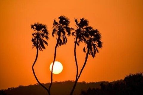 DTNEtiquette's tweet photo. Each sunset affords us the opportunity to reflect as we bask in its glow and prepare for the next day...what a marvelous feeling! ~ #DTN #refelctiontime #prepare4tomorrow https://t.co/KVaS33tHEo