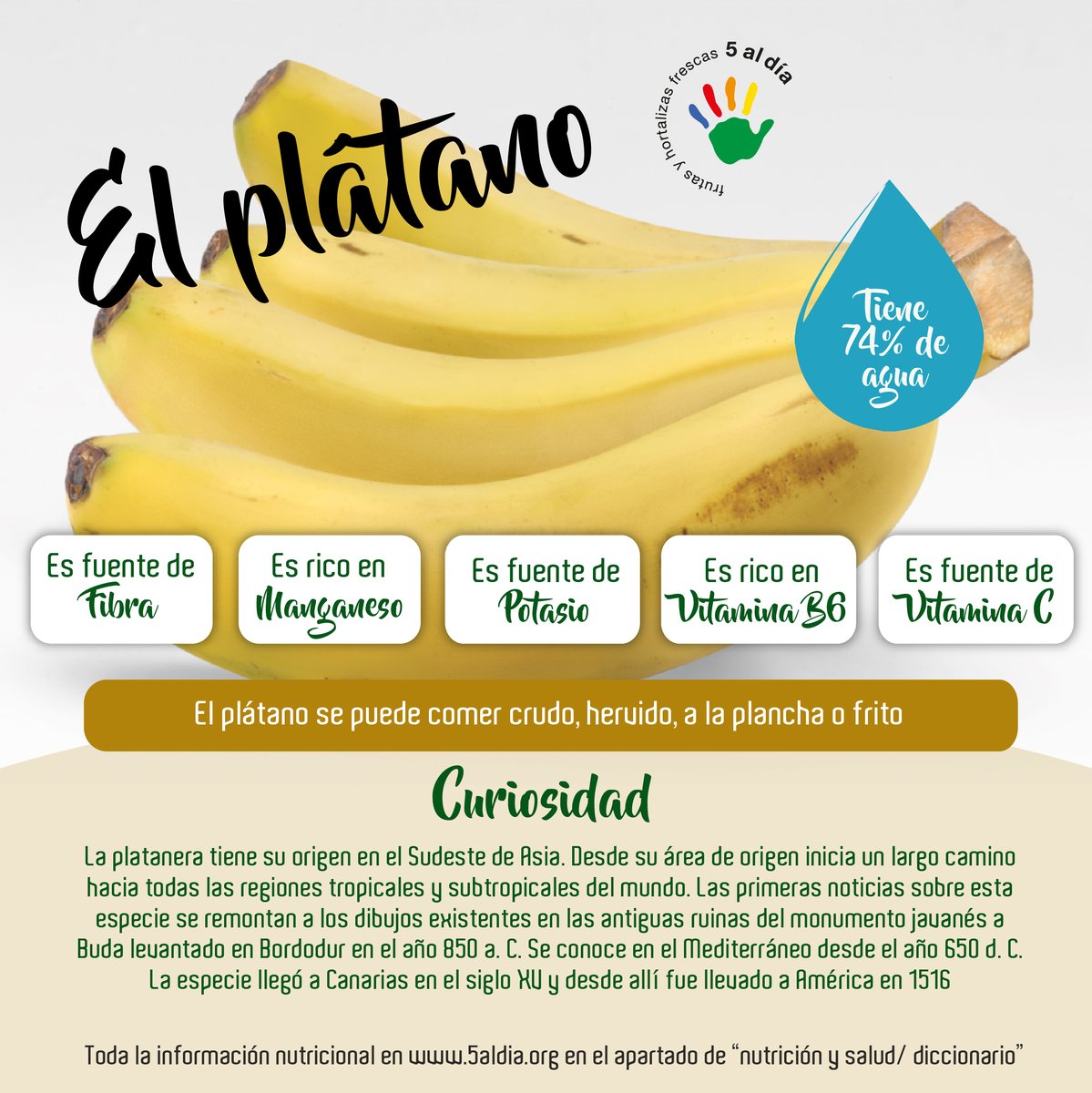 5aldiaspain's tweet photo. ¡Hoy te descubrimos las propiedades de esta rica #fruta!
Y tú, ¿Cómo tomas el #plátano: de #postre o en platos #cocinados? A nosotros nos encanta de cualquier forma 💛🍌

#Fruta🍌🍊🍎 #Hortaliza🍆🥦 #Practicael5🖐 #HabitosSaludables #1delas5deHoy #5aldíaLover 

@platanosiempre https://t.co/HIsxCfjPNv