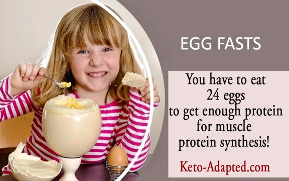 MariaEmmerich's tweet photo. I love eggs too much to want to hate them after a week 💪 
#eggfast #fatfast @KETOGAINS @tednaiman @luis_villasenor #knowledgeispower #keto #ketoforlife https://t.co/U29nuLiTBl