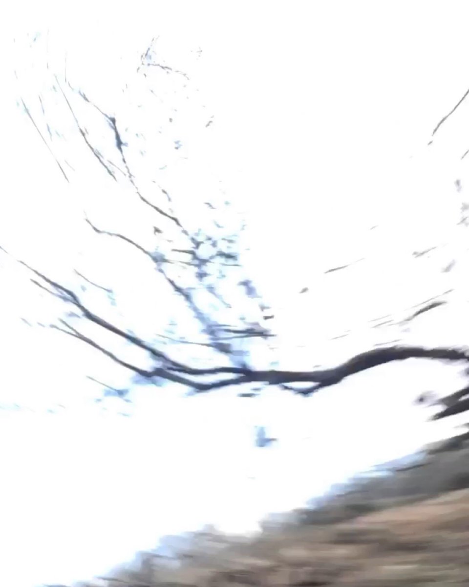 syntaxerika's tweet image. January 
#landscape #frame #syntaxerika