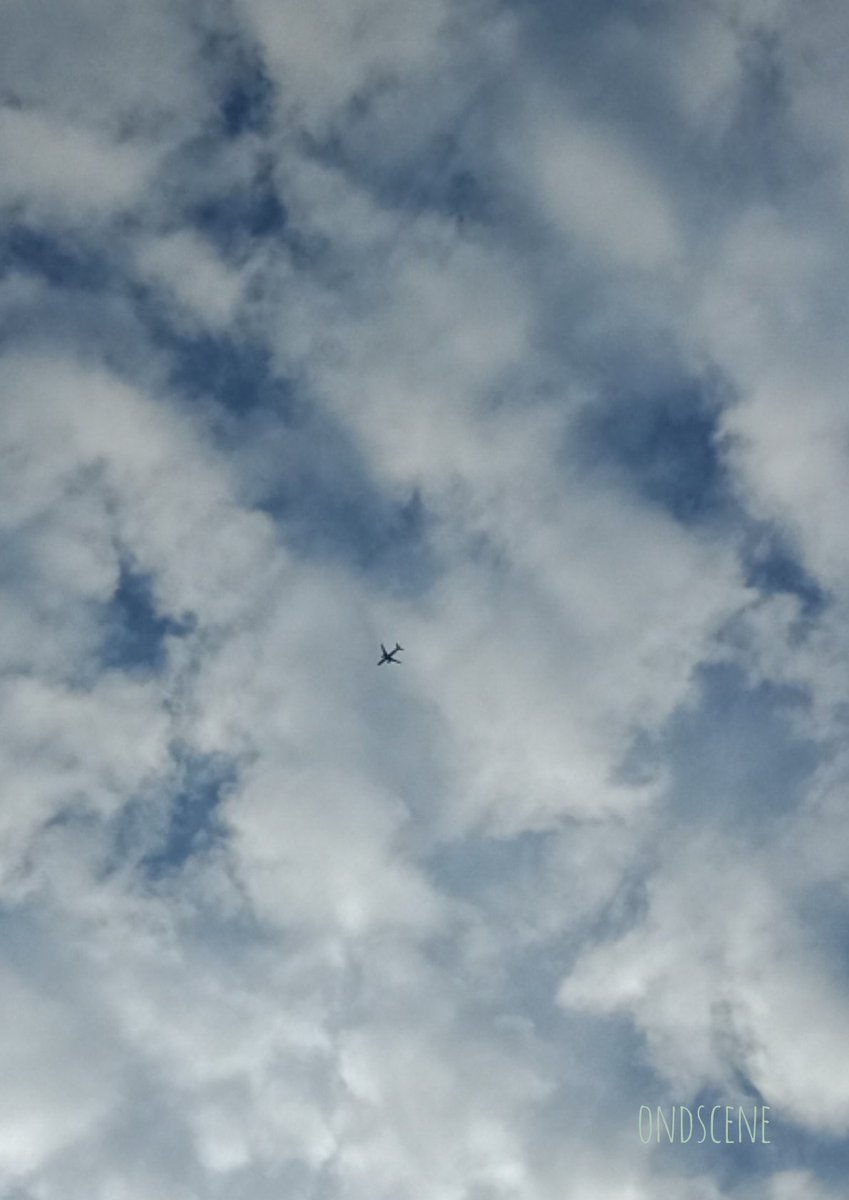 MyOndscene's tweet photo. Indahnya Alam...
Dirakam dr belakang rumah jam 0817.Ruang udara betul² atas rumah memang laluan pesawat.
*Guna #Oppo , den tak do Ipong...
Dari data  #FlightRadar24, pesawat berkemungkinan Airbus A350-941 Singapore Airlines SQ8022 Singapore-Mumbai.
#ondscene #pesawat #klia #SIA https://t.co/tgtpgqcOIf