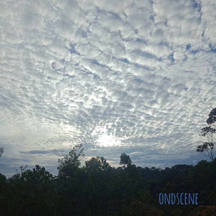 MyOndscene's tweet photo. Indahnya Alam...
Dirakam dr belakang rumah jam 0817.Ruang udara betul² atas rumah memang laluan pesawat.
*Guna #Oppo , den tak do Ipong...
Dari data  #FlightRadar24, pesawat berkemungkinan Airbus A350-941 Singapore Airlines SQ8022 Singapore-Mumbai.
#ondscene #pesawat #klia #SIA https://t.co/tgtpgqcOIf